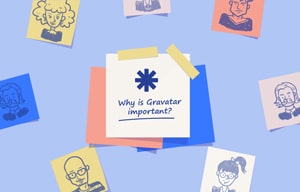 why using gravatar