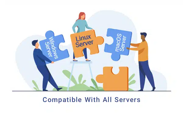 compatible with all servers