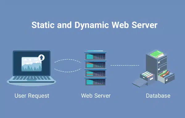 static and dynamic web server