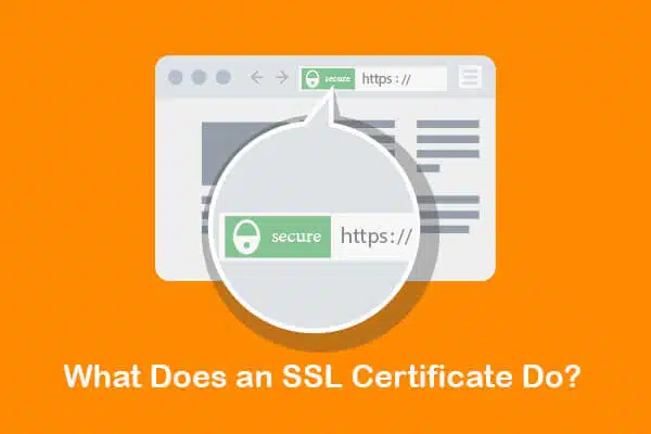 what does an ssl certificate do