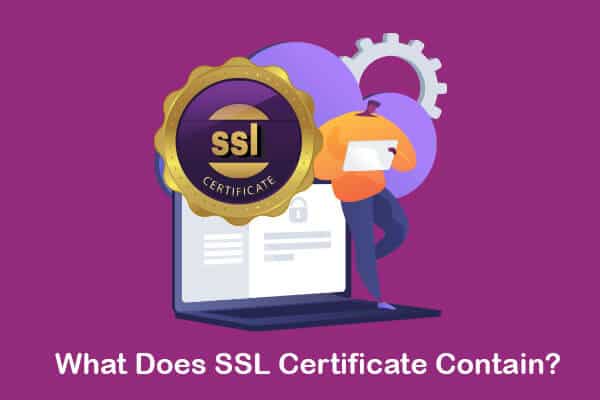 what does ssl certificate contain