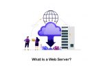 What Is a Web Server and What Does a Web Server Do?