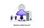 What Is a WebServer and What Does a Web Server Do?