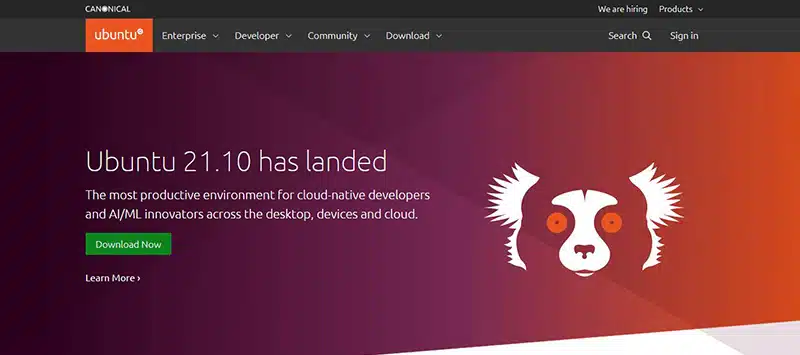 ubuntu site