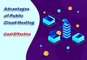 Advantages of Public Cloud Hosting - Cost Effective