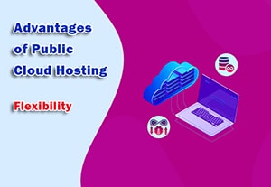 Advantages of Public Cloud Hosting - Flexibility