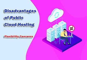 Disadvantages of Public Cloud Hosting - Flexibility Concerns