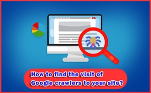 How to find the visit of Google crawlers to your site?