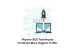 SEO Techniques; Which SEO Techniques Are Popular to Double Your Traffic?