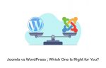 Joomla vs WordPress Differences, Pros and Cons; Which One Is the Best in 2022?