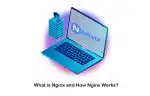 What Is Nginx Server and What Does It Do?