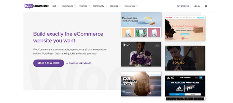 woocommerce site