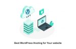 Best WordPress Hosting for Small Business in 2022!