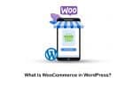 What Is WooCommerce in WordPress and Why Should Use It?