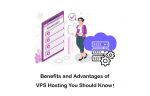 Advantages and Disadvantages of VPS Hosting You Must Know!