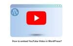 How to embed YouTube Video in WordPress
