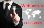 What is LiteSpeed web server ?