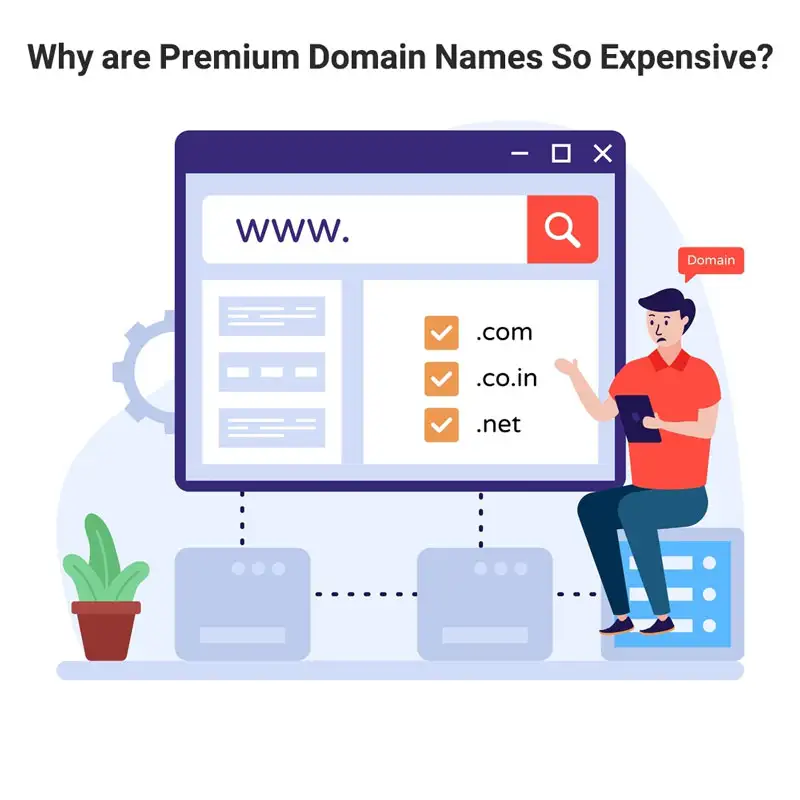 why are premium domain names so expensive