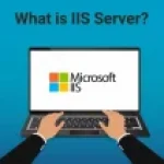 What is IIS Server and How it works?