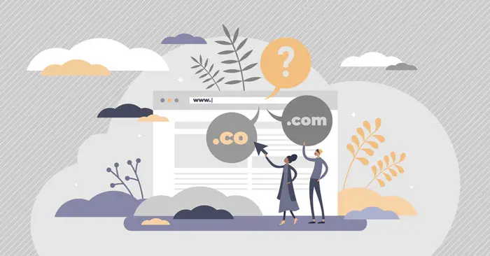 what is the difference between .com and .co