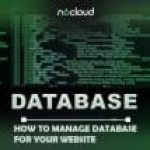 How to Manage Databasefor Your Website