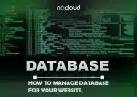 How to Manage Databasefor Your Website