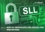 Why SSL Certificates Are Crucial for Web Hosting