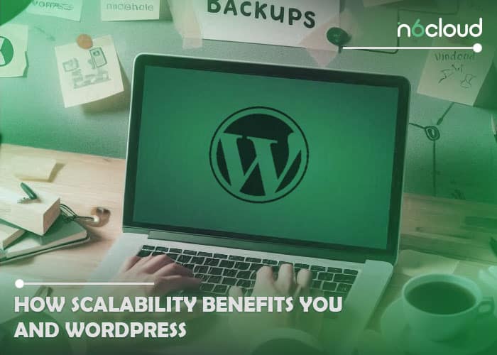 How Scalability Benefits You and WordPress