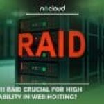 How RAID Technology Enhances Web Hosting Performance