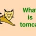what is tomcat