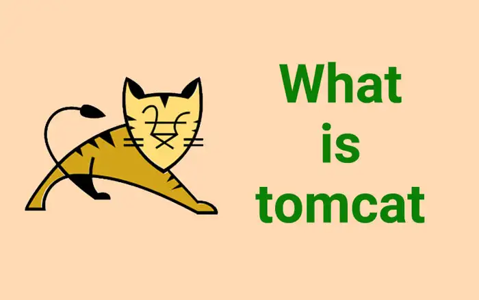 what is tomcat