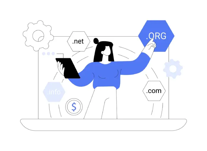 domain flipping