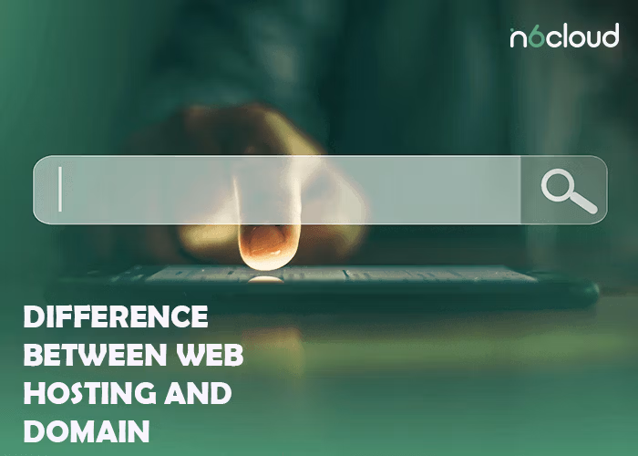 difference between web hosting and domain