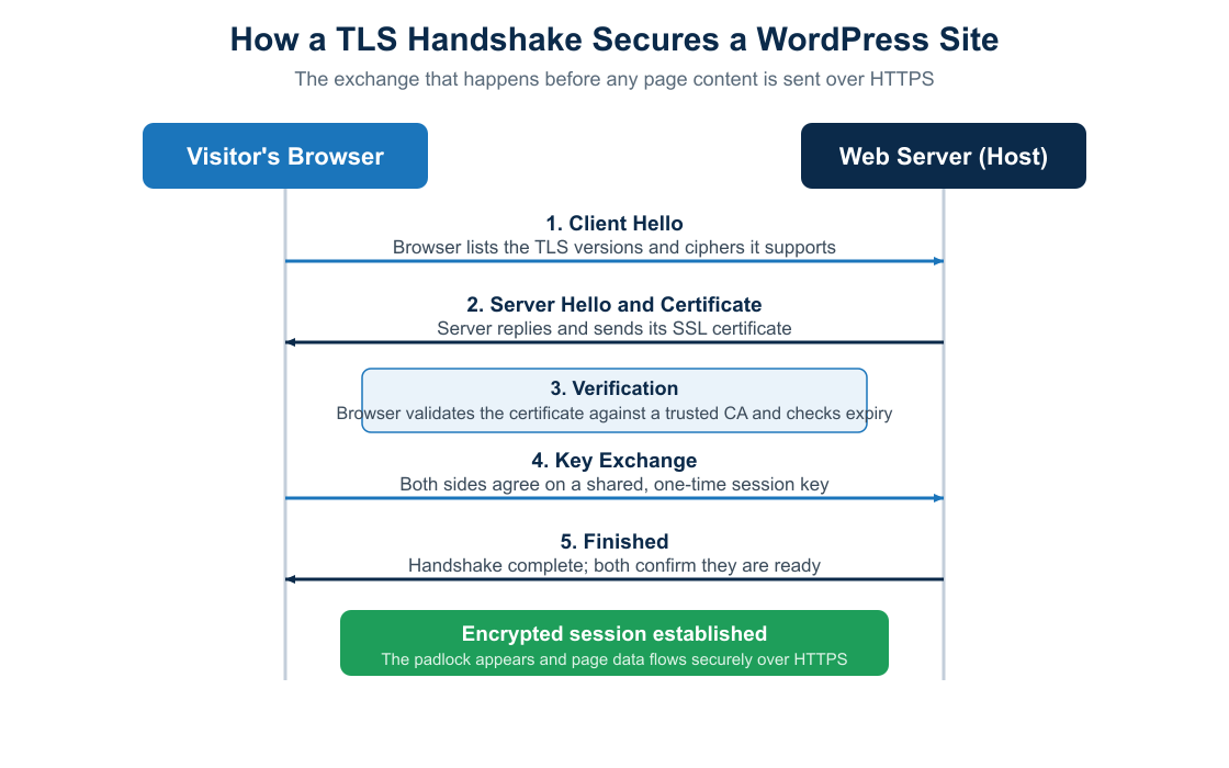 Diagram of the SSL/TLS handshake between a browser and web server for a WordPress site over HTTPS.