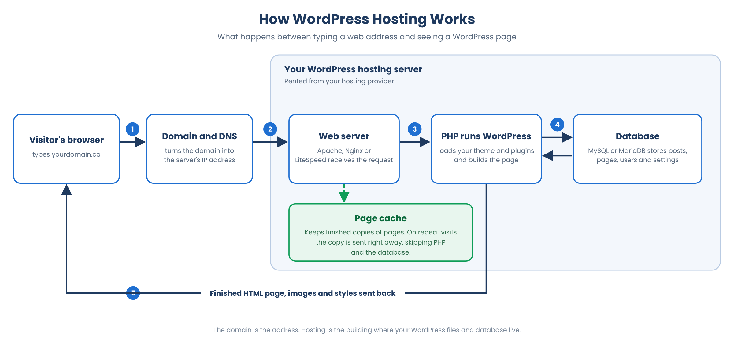 How WordPress hosting works: a visitor's browser contacts DNS, the web server, PHP and the database, with a page cache serving repeat visits